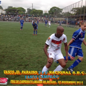 CAMPEONATO AMADOR DO ESTADO 2015-  