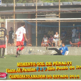 CAMPEONATO AMADOR DO ESTADO 2015-  