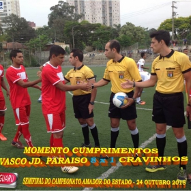 CAMPEONATO AMADOR DO ESTADO 2015-  