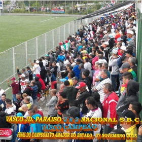 CAMPEONATO AMADOR DO ESTADO 2015-  