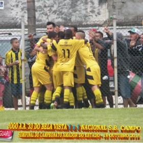 CAMPEONATO AMADOR DO ESTADO 2015-  