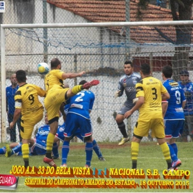 CAMPEONATO AMADOR DO ESTADO 2015-  