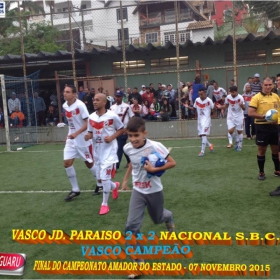 CAMPEONATO AMADOR DO ESTADO 2015-  