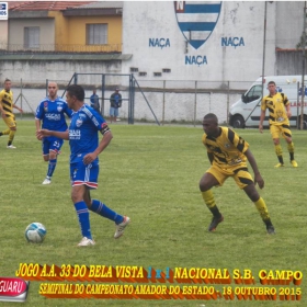 CAMPEONATO AMADOR DO ESTADO 2015-  