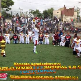 CAMPEONATO AMADOR DO ESTADO 2015-  