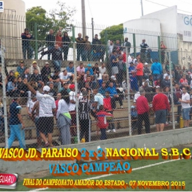 CAMPEONATO AMADOR DO ESTADO 2015-  