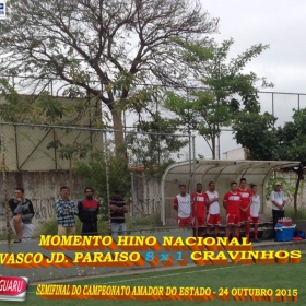 CAMPEONATO AMADOR DO ESTADO 2015-  