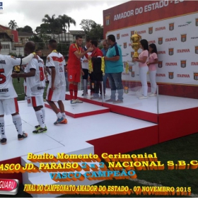 CAMPEONATO AMADOR DO ESTADO 2015-  