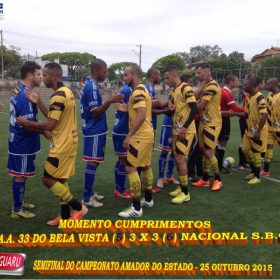 CAMPEONATO AMADOR DO ESTADO 2015-  