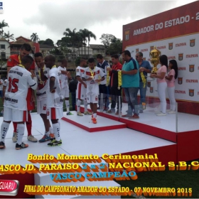 CAMPEONATO AMADOR DO ESTADO 2015-  