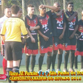 CAMPEONATO AMADOR DO ESTADO 2015-  