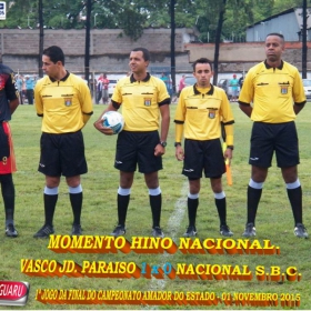 CAMPEONATO AMADOR DO ESTADO 2015-  