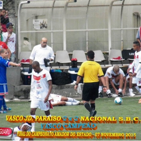 CAMPEONATO AMADOR DO ESTADO 2015-  