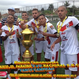 CAMPEONATO AMADOR DO ESTADO 2015-  