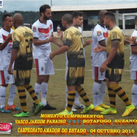 CAMPEONATO AMADOR DO ESTADO 2015-  