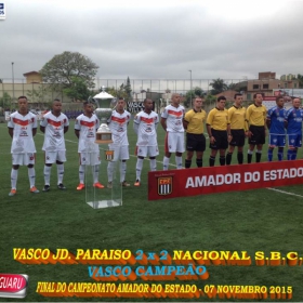 CAMPEONATO AMADOR DO ESTADO 2015-  