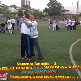 CAMPEONATO AMADOR DO ESTADO 2015-  