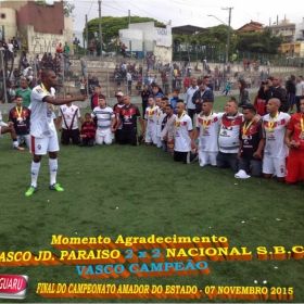 CAMPEONATO AMADOR DO ESTADO 2015-  