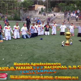 CAMPEONATO AMADOR DO ESTADO 2015-  