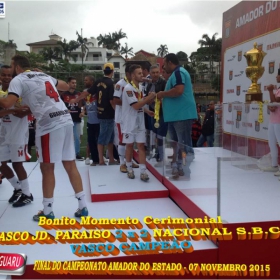 CAMPEONATO AMADOR DO ESTADO 2015-  