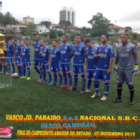 CAMPEONATO AMADOR DO ESTADO 2015-  