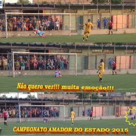 CAMPEONATO AMADOR DO ESTADO 2015-  