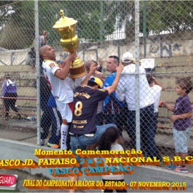 CAMPEONATO AMADOR DO ESTADO 2015-  