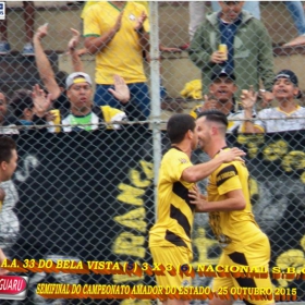 CAMPEONATO AMADOR DO ESTADO 2015-  