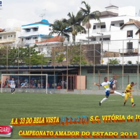 CAMPEONATO AMADOR DO ESTADO 2015-  