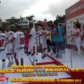 CAMPEONATO AMADOR DO ESTADO 2015-  