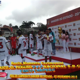 CAMPEONATO AMADOR DO ESTADO 2015-  