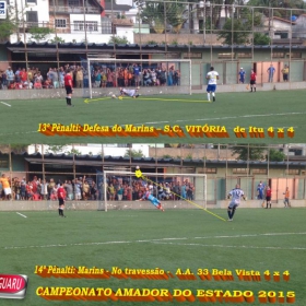 CAMPEONATO AMADOR DO ESTADO 2015-  