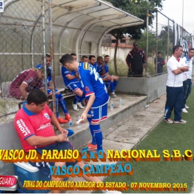 CAMPEONATO AMADOR DO ESTADO 2015-  