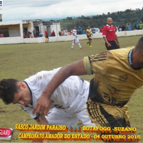 CAMPEONATO AMADOR DO ESTADO 2015-  