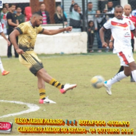 CAMPEONATO AMADOR DO ESTADO 2015-  