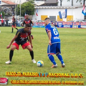 CAMPEONATO AMADOR DO ESTADO 2015-  