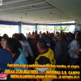 CAMPEONATO AMADOR DO ESTADO 2015-  