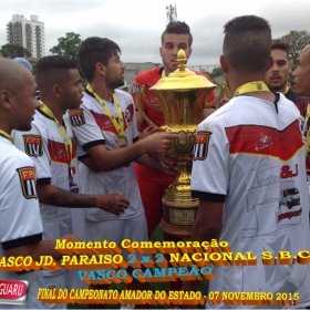 CAMPEONATO AMADOR DO ESTADO 2015-  