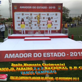 CAMPEONATO AMADOR DO ESTADO 2015-  