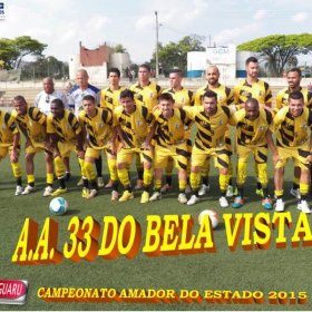 CAMPEONATO AMADOR DO ESTADO 2015-  