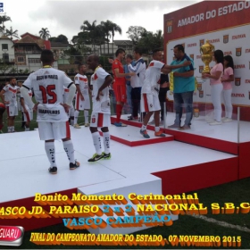 CAMPEONATO AMADOR DO ESTADO 2015-  