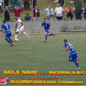 CAMPEONATO AMADOR DO ESTADO 2015-  