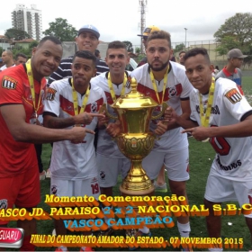 CAMPEONATO AMADOR DO ESTADO 2015-  