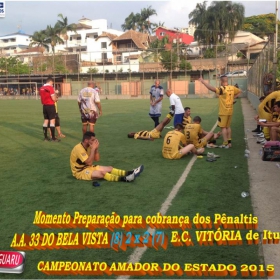 CAMPEONATO AMADOR DO ESTADO 2015-  