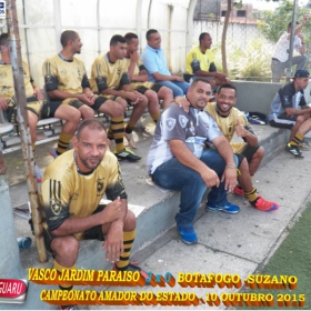 CAMPEONATO AMADOR DO ESTADO 2015-  