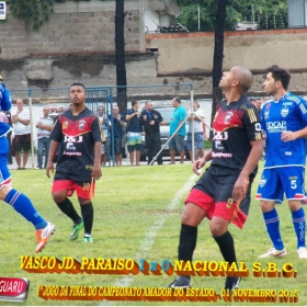 CAMPEONATO AMADOR DO ESTADO 2015-  