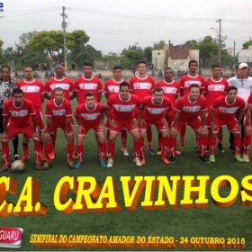 CAMPEONATO AMADOR DO ESTADO 2015-  