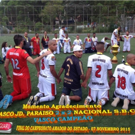 CAMPEONATO AMADOR DO ESTADO 2015-  