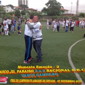 CAMPEONATO AMADOR DO ESTADO 2015-  