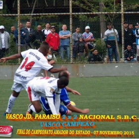 CAMPEONATO AMADOR DO ESTADO 2015-  